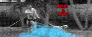 WoofWasher1 (2).mp4